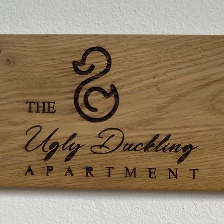 The Ugly Duckling Apartment Dormelletto Exteriör bild